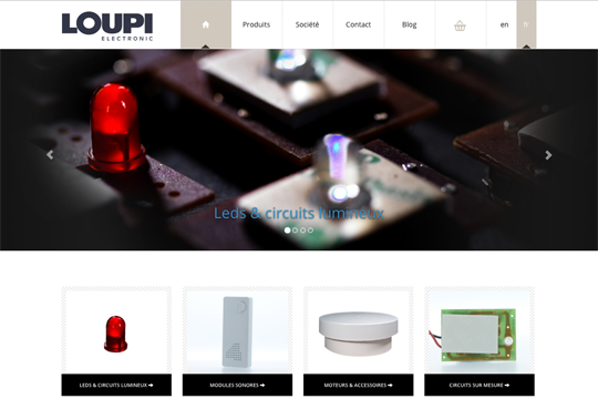 Picture of project Loupi Électronique - Mathias Standaert
