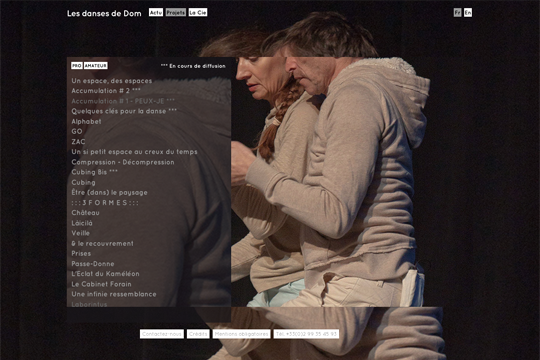 Picture of project Les danses de Dom - Mathias Standaert