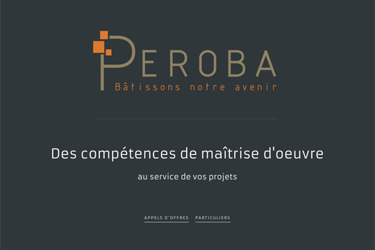 Picture of project Peroba - Mathias Standaert