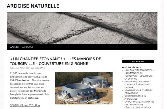 Picture of project Natural slates - Mathias Standaert