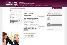Picture of project Baya Consulting - Mathias Standaert